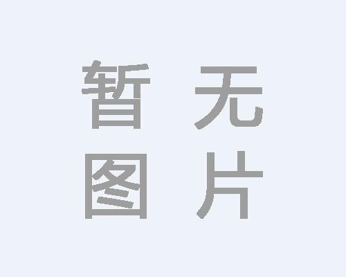 公司簡介